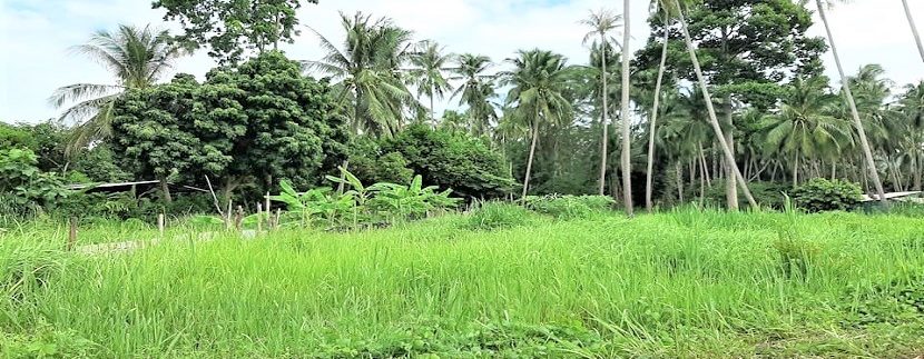 A vendre terrain plat à Bang Kao Koh Samui 02