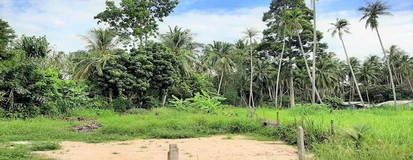 For sale flat land in Bang Kao Koh Samui 03