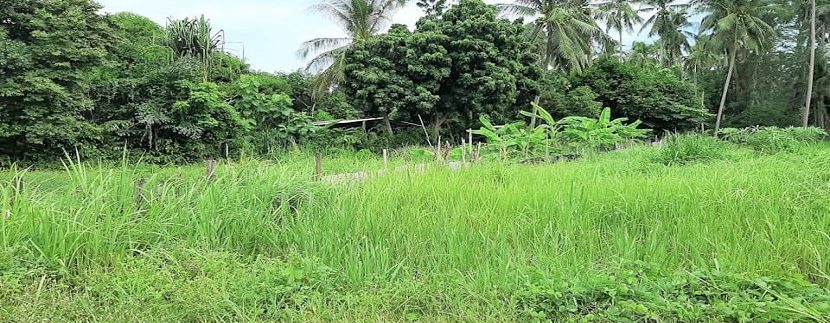 A vendre terrain plat à Bang Kao Koh Samui 04