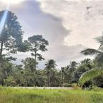 For sale flat land in Taling Ngam Koh Samui