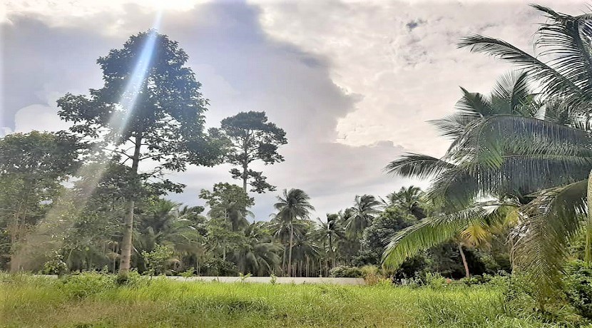 A vendre terrain plat à Taling Ngam Koh Samui