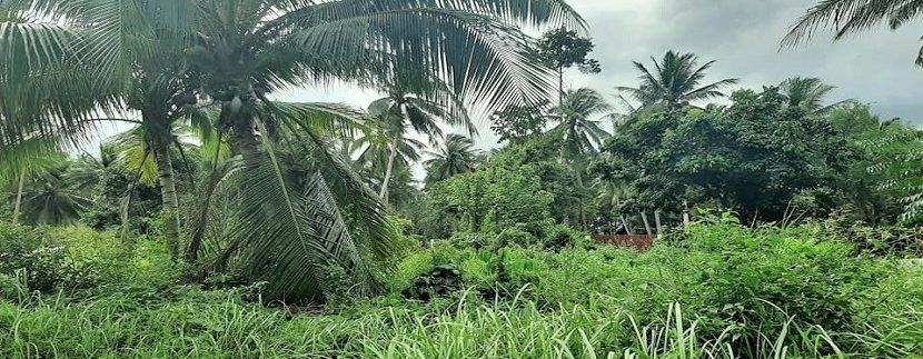 For sale flat land in Taling Ngam Koh Samui 02