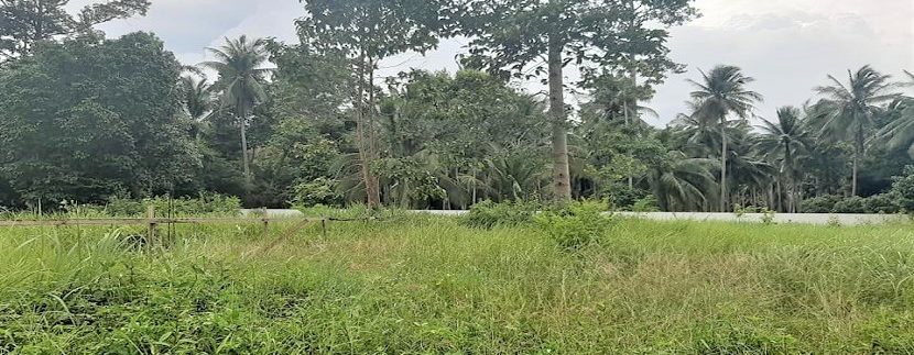 For sale flat land in Taling Ngam Koh Samui 03