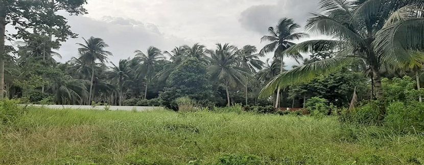 A vendre terrain plat à Taling Ngam Koh Samui 04