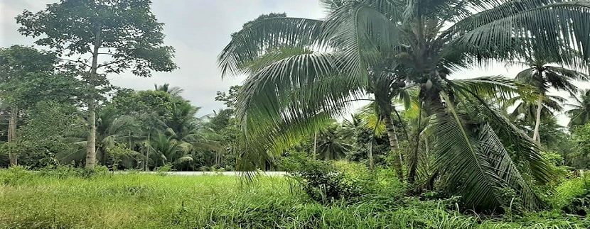 For sale flat land in Taling Ngam Koh Samui 05