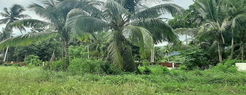 For sale flat land in Taling Ngam Koh Samui 07