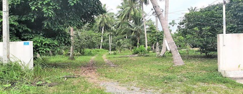 For sale flat land in Taling Ngam Koh Samui 08