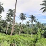 For sale land at Soi 1 in Maenam Koh Samui