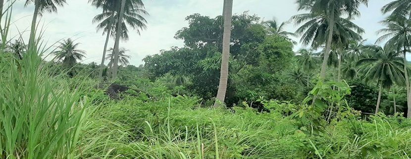 For sale land soi 1 Maenam in Koh Samui 02