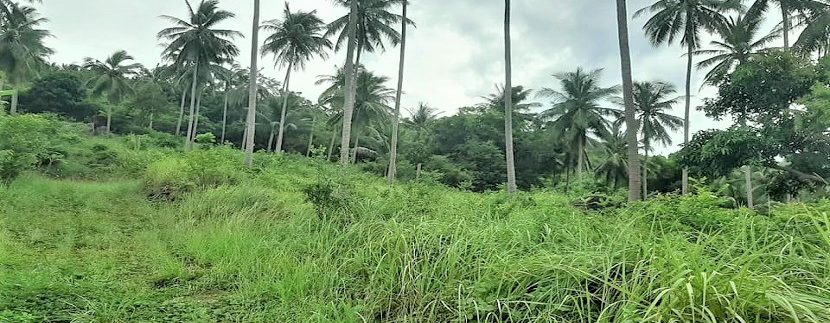 A vendre terrain soi 1 Maenam à Koh Samui 04