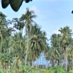 For sale sea view land in Chaweng Noi on Koh Samui