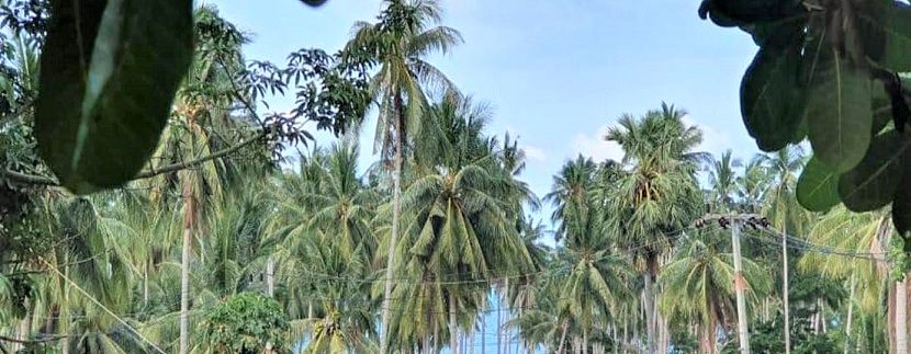 For sale sea view land in Chaweng Noi Koh Samui 01