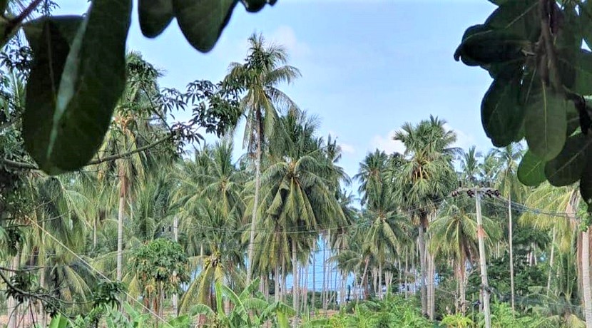 For sale sea view land in Chaweng Noi on Koh Samui