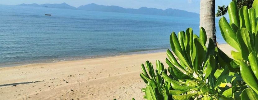 Beachfront land for sale Bang Por in Koh Samui 01