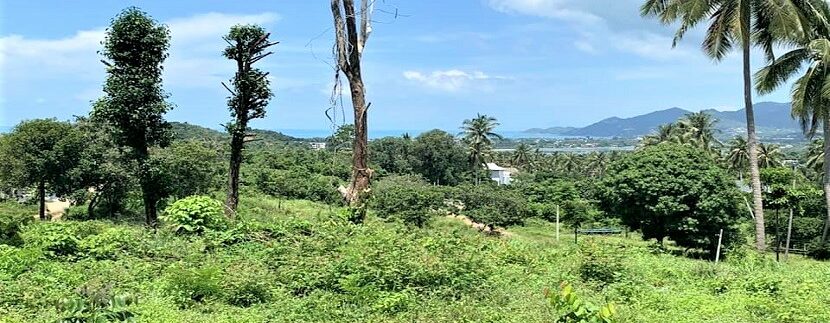 For sale land in Bangrak Koh Samui sea view 05