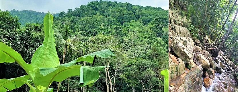 A vendre terrain avec cascade à Maenam Koh Samui 01