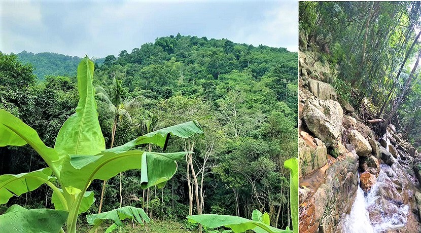 A vendre terrain avec cascade à Maenam Koh Samui