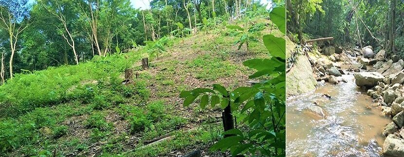 A vendre terrain avec cascade à Maenam Koh Samui 02