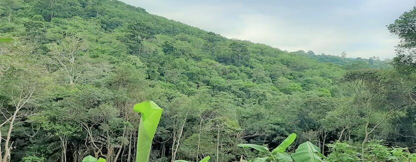 A vendre terrain avec cascade à Maenam Koh Samui 04