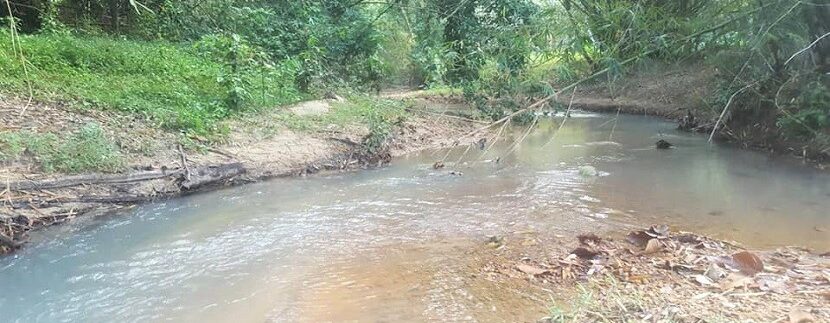 A vendre terrain avec rivière à Maenam Koh Samui 01