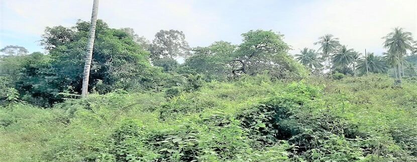 A vendre terrain avec rivière à Maenam Koh Samui 011