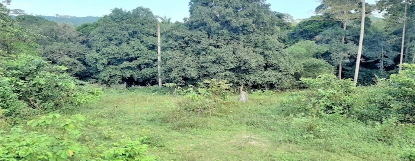 A vendre terrain avec rivière à Maenam Koh Samui 013