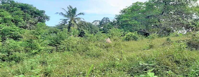 A vendre terrain avec rivière à Maenam Koh Samui 014