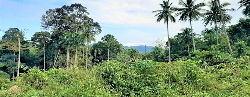 A vendre terrain avec rivière à Maenam Koh Samui 015