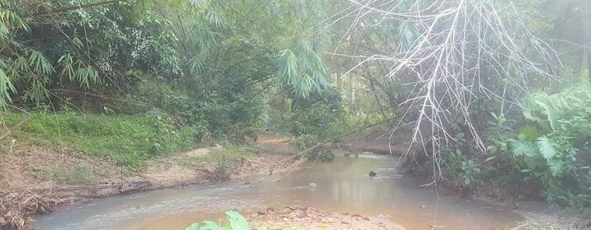 A vendre terrain avec rivière à Maenam Koh Samui 03