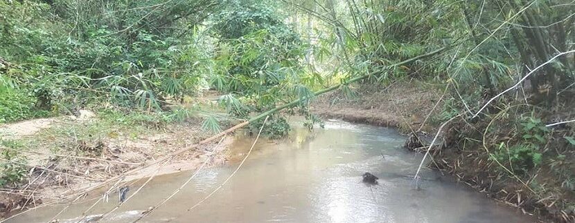A vendre terrain avec rivière à Maenam Koh Samui 05