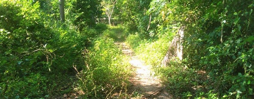 A vendre terrain plat au centre de Lamai Koh Samui 14