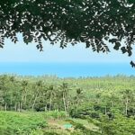 For sale land sea view Lipa Noi in Koh Samui