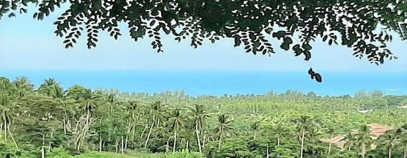 For sale sea view land Lipa Noi in Koh Samui 01