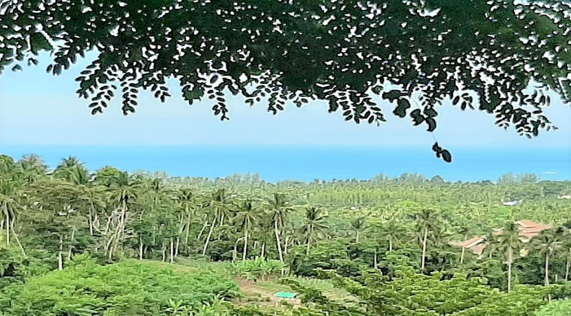 For sale land sea view Lipa Noi in Koh Samui