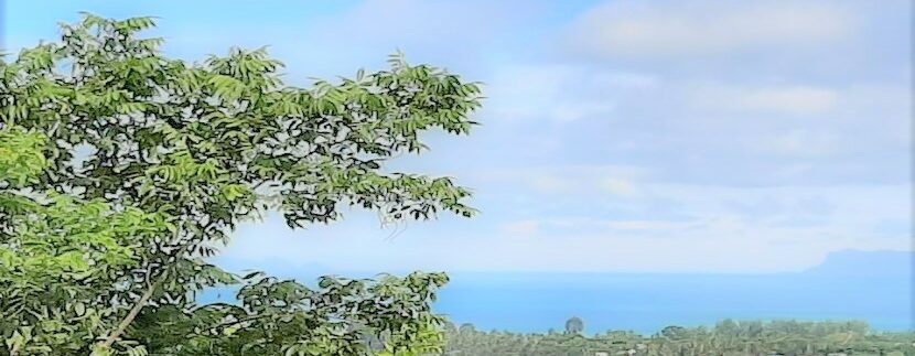 For sale sea view land Lipa Noi in Koh Samui 04