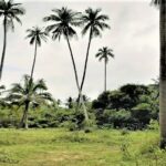 Maenam flat land for sale