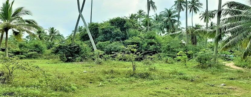 Maenam flat land for sale 03