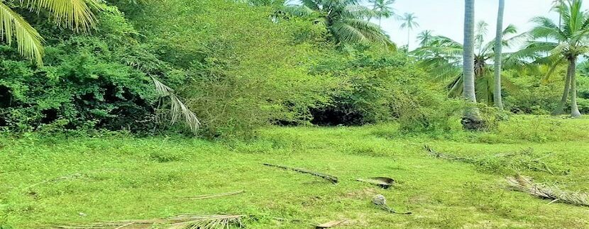 Maenam flat land for sale 05