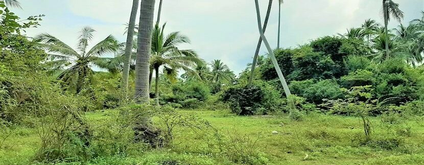 Maenam flat land for sale 06