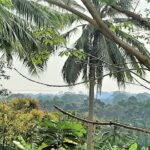 Sea view land in Lamai Koh Samui for sale