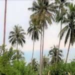 Sea view land in Lamai Koh Samui for sale