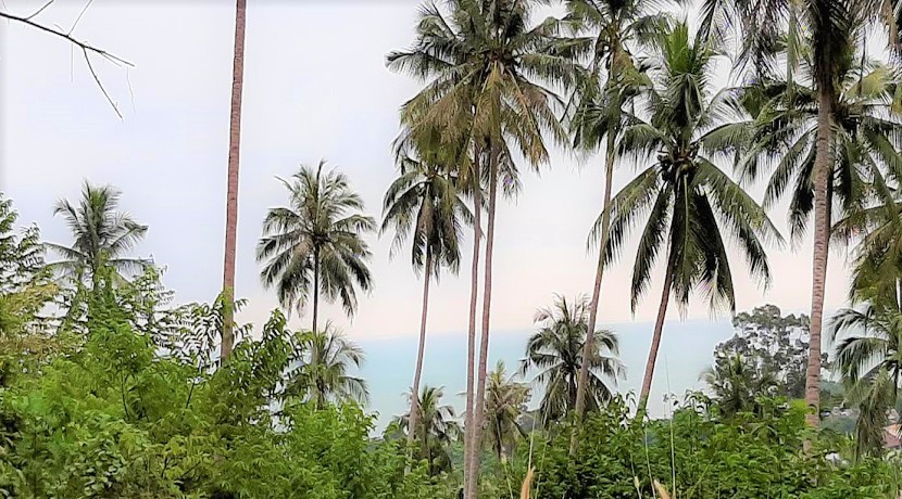 Land with sea view in Lamai