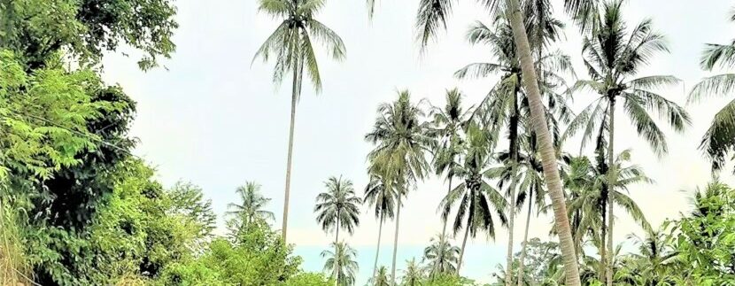 Sea view land in Lamai Koh Samui-for-sale 05