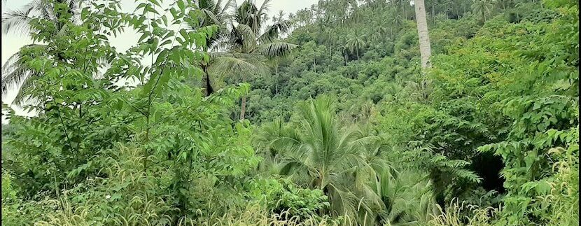 Sea view land in Lamai Koh Samui-for-sale 07