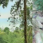 Sea view land with waterfall in Lamai Koh Samui for sale