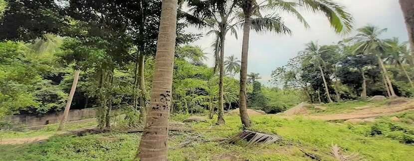 Sea view land with waterfall in Lamai Koh Samui for sale 011