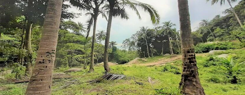 Sea view land with waterfall in Lamai Koh Samui for sale 06