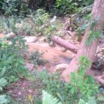 Waterfall mountain view land in Maenam Koh Samui for sale