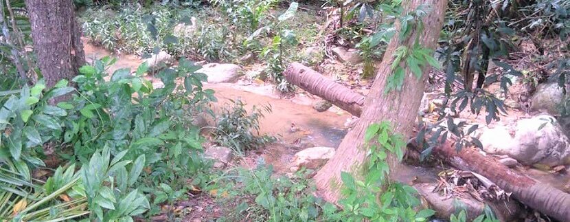 Terrain vue montagne cascade à Maenam Koh Samui à vendre 01