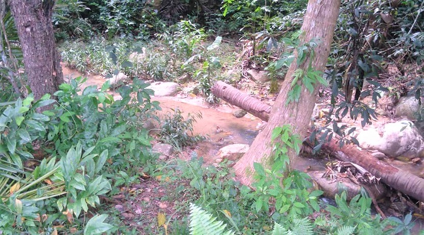 Waterfall mountain view land in Maenam Koh Samui for sale